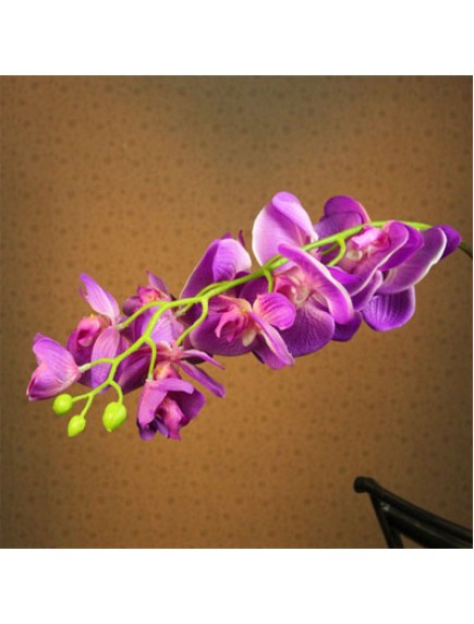HF1048 - Bunga Phalaenopsis 