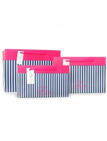 HO3116B - Gift Bag Strip Fashion 24.5 * 10 * 16.5 Cm